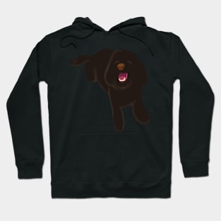 Smiling Black Fluffy Maltipoo Dog Hoodie